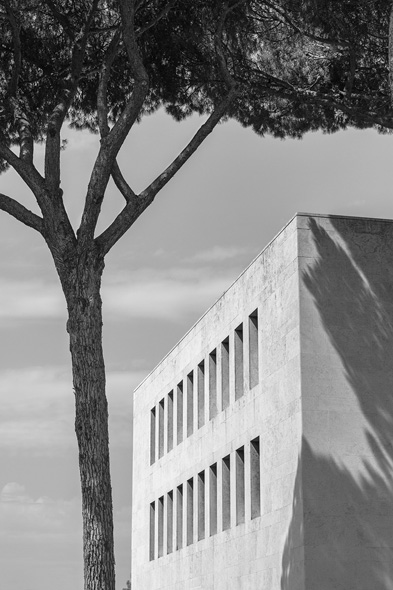 Roman trees
